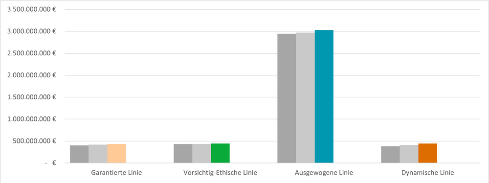 Patrimonio 30062025 DE